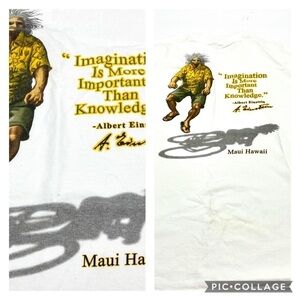 Albert Einstein Hawaii Imagination and knowledge Maui Hawaii  T